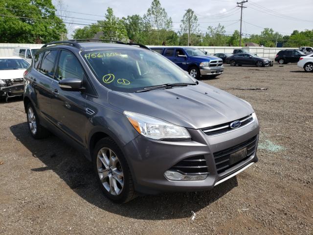 FORD ESCAPE SEL 2013 1fmcu0hxxdub17209