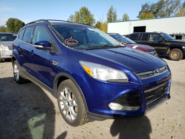 FORD ESCAPE SEL 2013 1fmcu0hxxdub24645