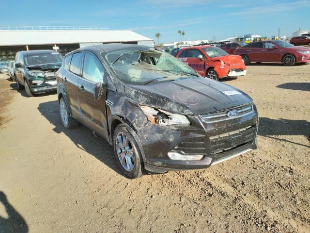 FORD ESCAPE SEL 2013 1fmcu0hxxdub44572