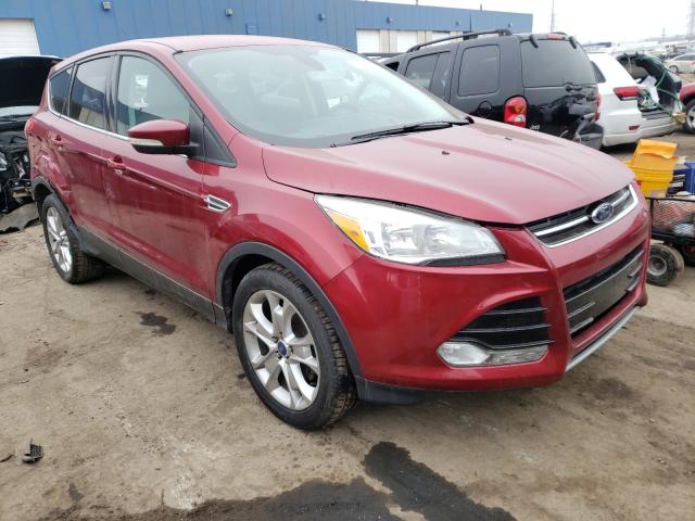 FORD ESCAPE SEL 2013 1fmcu0hxxdub45432