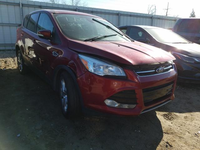 FORD ESCAPE SEL 2013 1fmcu0hxxdub53370