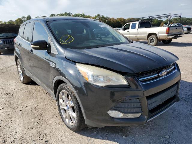 FORD ESCAPE SEL 2013 1fmcu0hxxdub86210