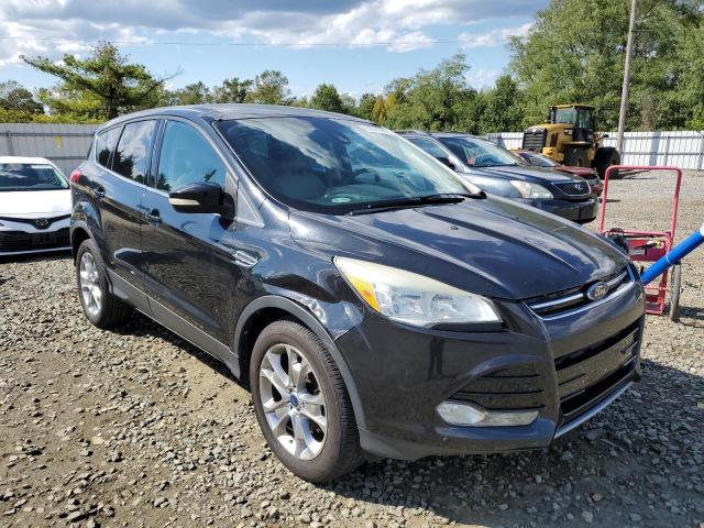 FORD ESCAPE SEL 2013 1fmcu0hxxdub98891