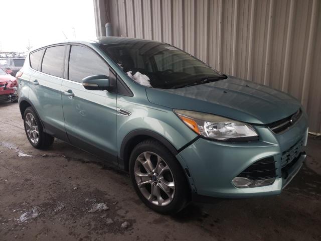 FORD ESCAPE SEL 2013 1fmcu0hxxduc47605