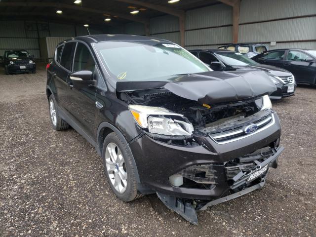 FORD ESCAPE SEL 2013 1fmcu0hxxduc54537