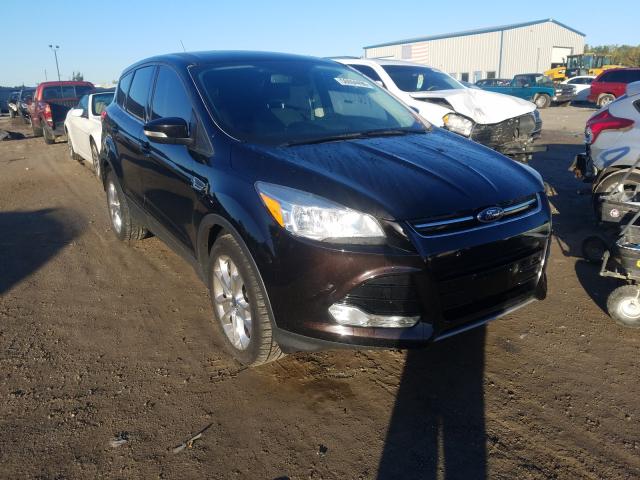 FORD ESCAPE SEL 2013 1fmcu0hxxdud53522