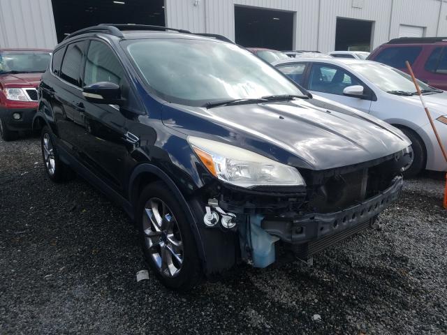 FORD ESCAPE SEL 2013 1fmcu0hxxdud75858