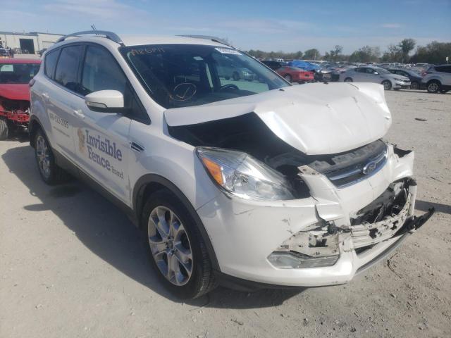 FORD ESCAPE TIT 2014 1fmcu0j90eua86811