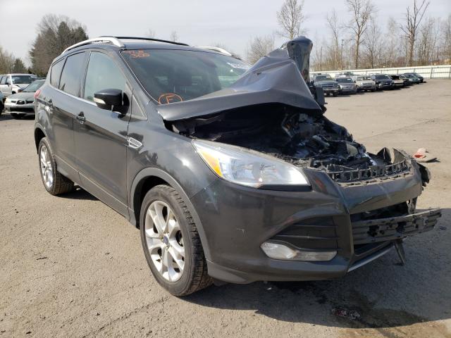 FORD ESCAPE TIT 2014 1fmcu0j90eud01958