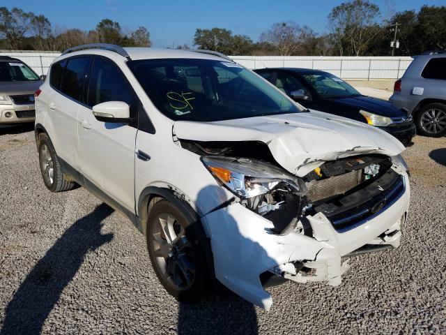 FORD ESCAPE TIT 2014 1fmcu0j90eue34655