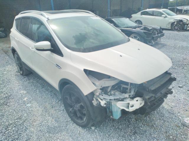 FORD ESCAPE TIT 2014 1fmcu0j91eua04200