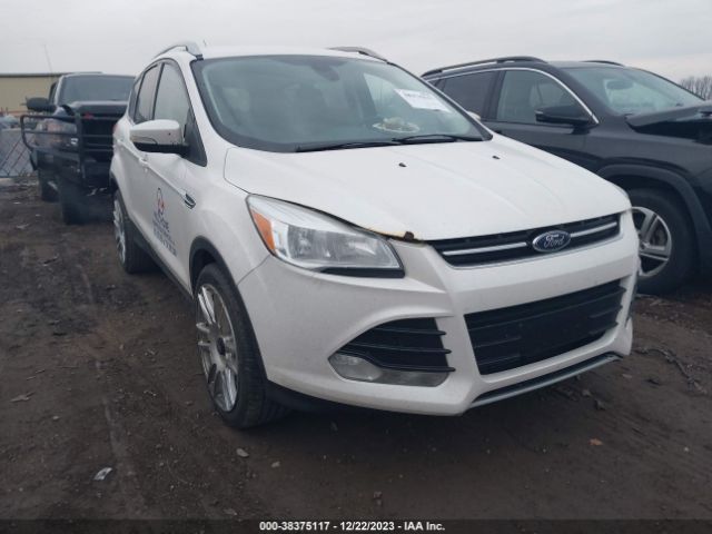 FORD ESCAPE 2014 1fmcu0j91eub44117