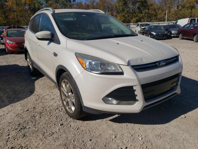 FORD ESCAPE TIT 2014 1fmcu0j92eua92612