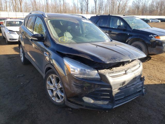 FORD ESCAPE TIT 2014 1fmcu0j92eud79125