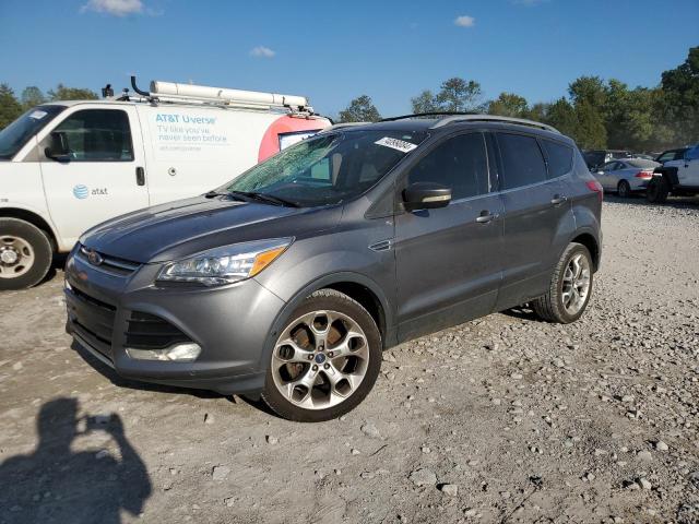 FORD ESCAPE TIT 2014 1fmcu0j94euc41960