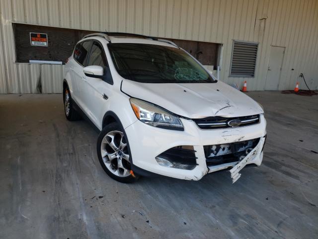 FORD ESCAPE XLT 2013 1fmcu0j95dub43471