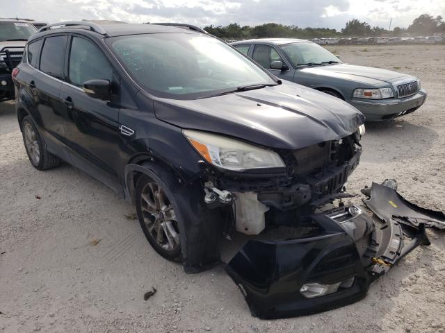 FORD ESCAPE TIT 2014 1fmcu0j95eua85458