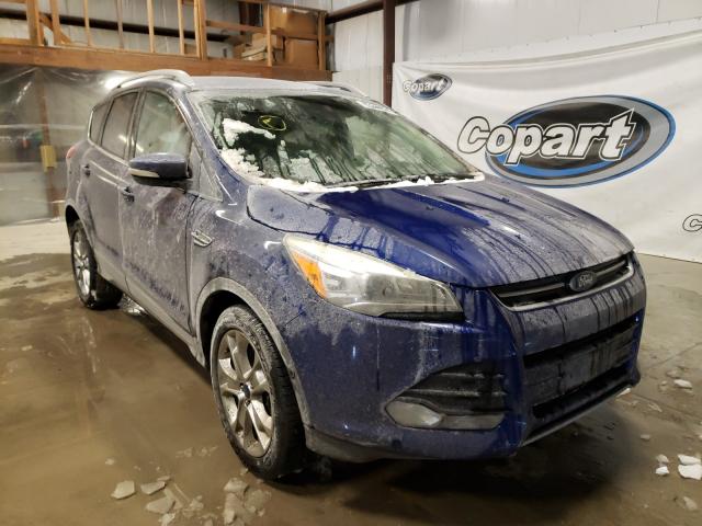 FORD ESCAPE TIT 2014 1fmcu0j95eub57100