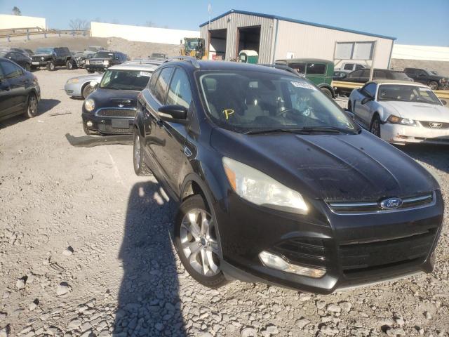 FORD ESCAPE TIT 2014 1fmcu0j95eud06010