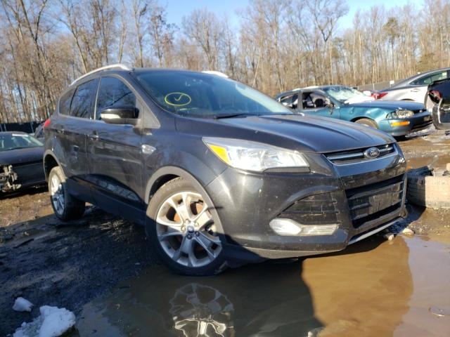 FORD ESCAPE TIT 2014 1fmcu0j96eud00667