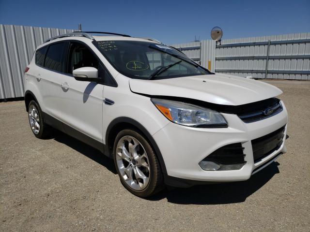 FORD ESCAPE TIT 2014 1fmcu0j97euc22559