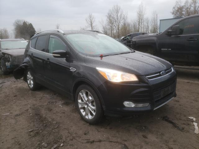 FORD ESCAPE TIT 2014 1fmcu0j98eua15839