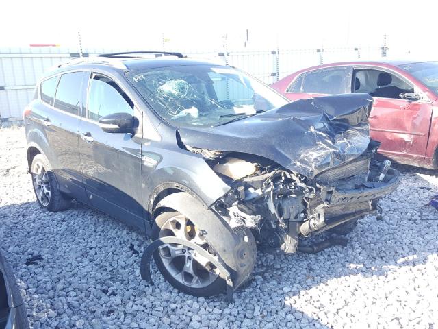 FORD ESCAPE TIT 2014 1fmcu0j99eua19429