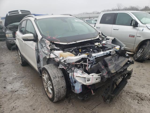 FORD ESCAPE TIT 2014 1fmcu0j99eub05016