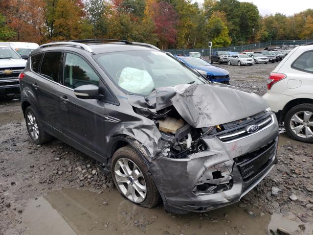 FORD ESCAPE TIT 2014 1fmcu0j9xeub99147