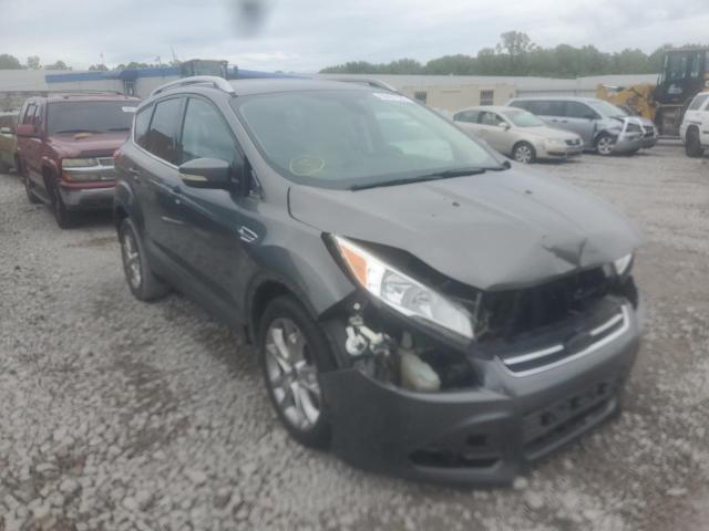 FORD ESCAPE TIT 2014 1fmcu0j9xeud52464