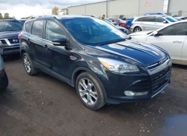 FORD ESCAPE 2014 1fmcu0jx0eud15731