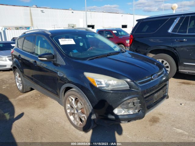 FORD ESCAPE 2014 1fmcu0jx1eua69188