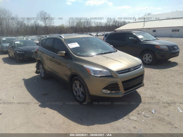 FORD ESCAPE 2014 1fmcu0jx1eua82443