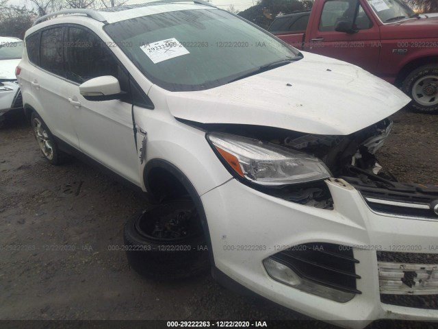 FORD ESCAPE 2014 1fmcu0jx1eub92389