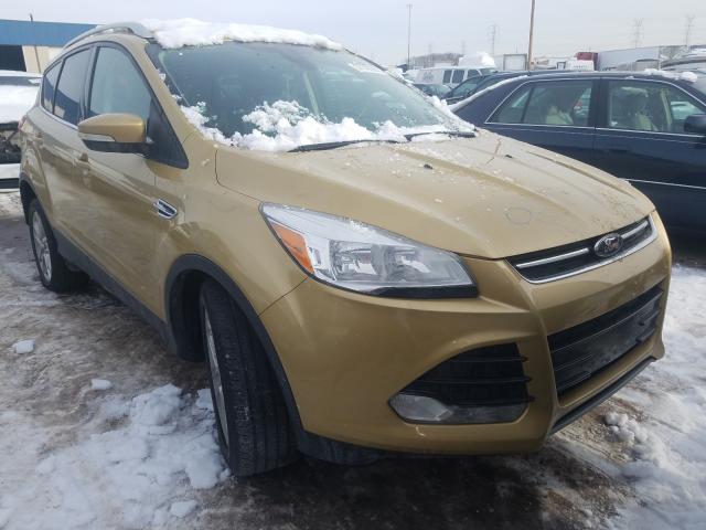 FORD ESCAPE TIT 2014 1fmcu0jx1eud43098