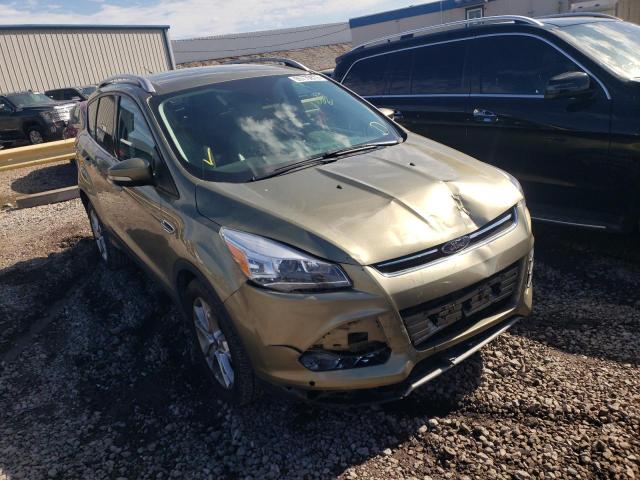 FORD ESCAPE TIT 2014 1fmcu0jx2eub07396