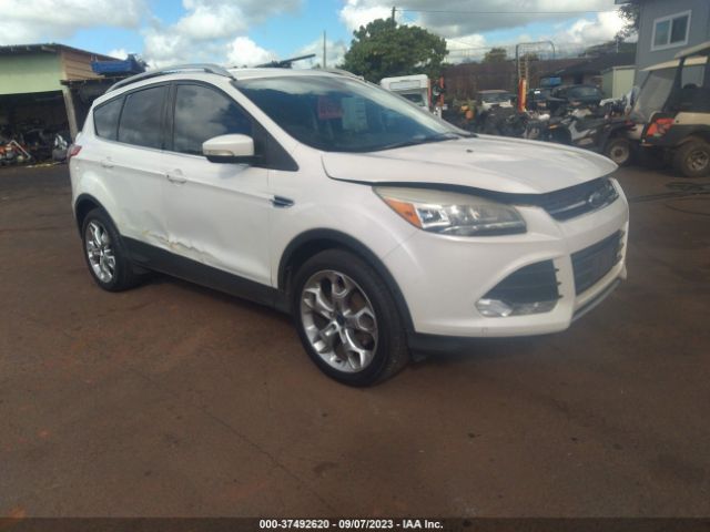 FORD ESCAPE 2014 1fmcu0jx4eua45807