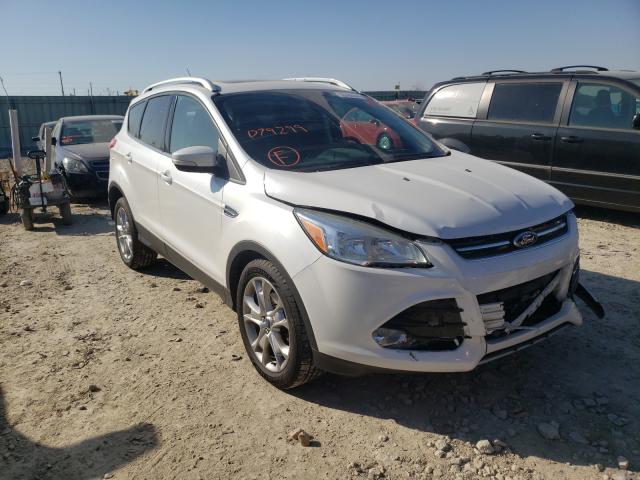 FORD NULL 2014 1fmcu0jx4eud79299