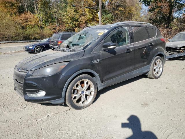 FORD ESCAPE TIT 2014 1fmcu0jx6eub93845