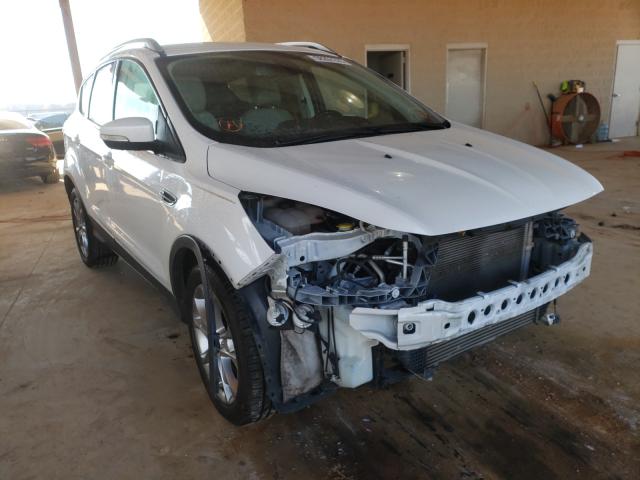 FORD ESCAPE TIT 2014 1fmcu0jx6eud22473