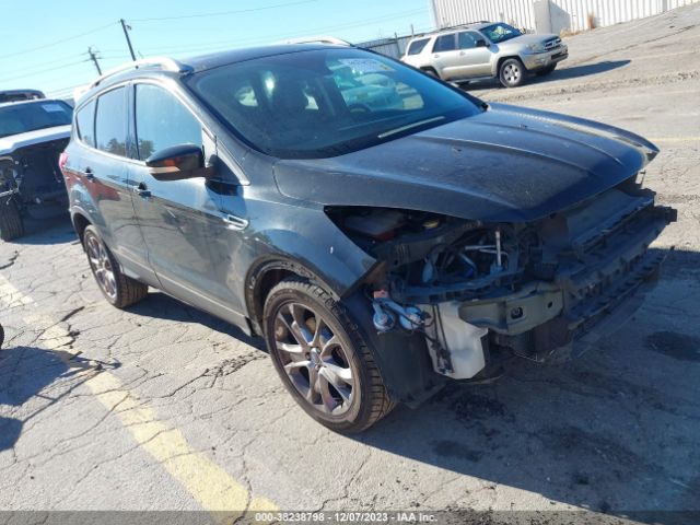 FORD ESCAPE 2014 1fmcu0jx7euc67029