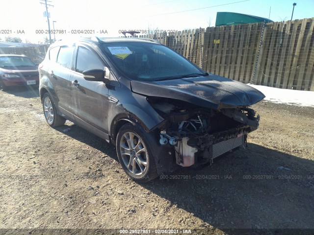 FORD ESCAPE 2014 1fmcu0jx8euc58162