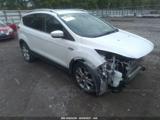 FORD ESCAPE 2014 1fmcu0jx8euc84051