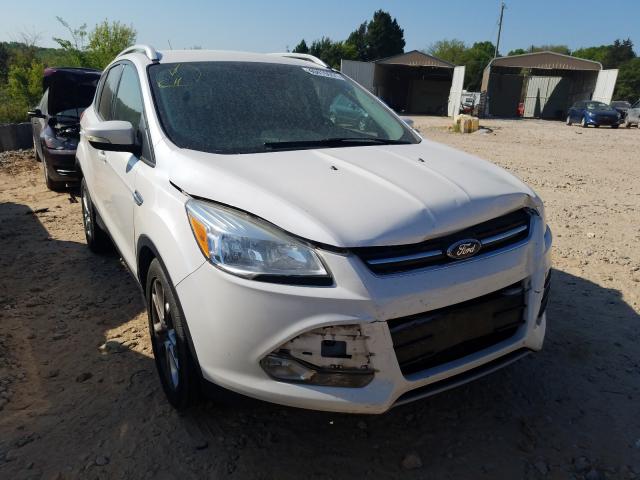 FORD ESCAPE TIT 2014 1fmcu0jx8eud35774