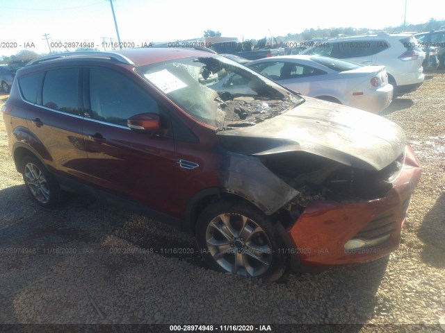 FORD ESCAPE 2014 1fmcu0jxxeub53753