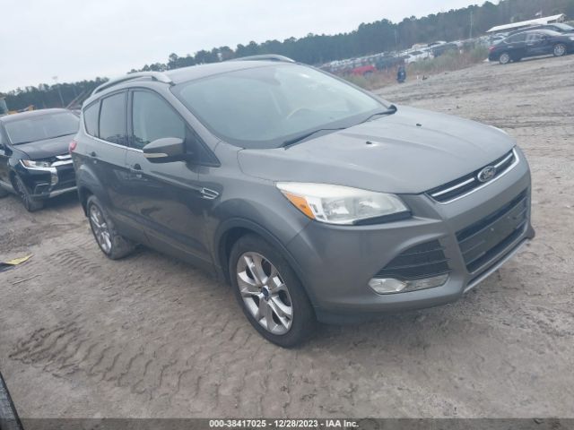 FORD ESCAPE 2014 1fmcu0jxxeud16711