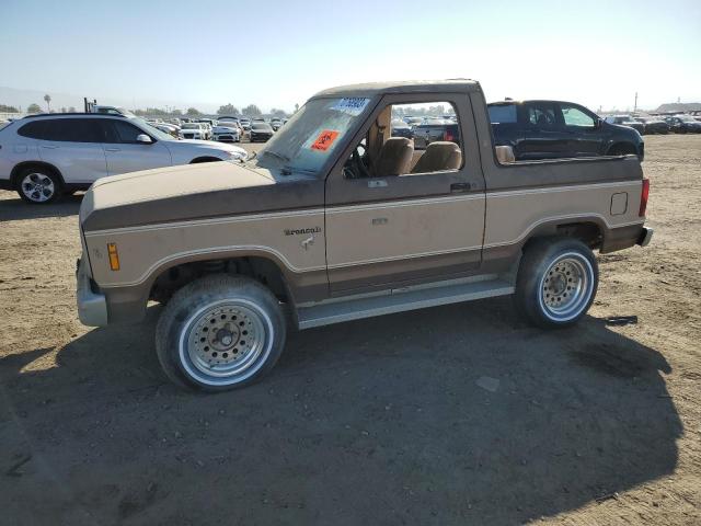 FORD BRONCO II 1984 1fmcu14s1eub17147