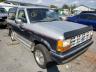 FORD BRONCO II 1990 1fmcu14t3lub11324