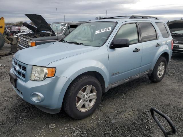 FORD ESCAPE 2009 1fmcu49309ka69855