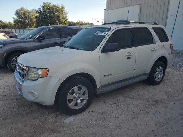 FORD ESCAPE HYB 2009 1fmcu49309kb00666